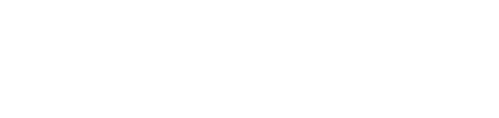 Web Application Penetration Testing